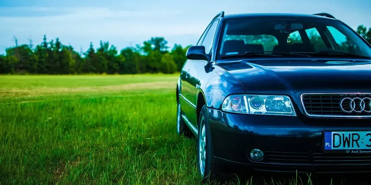 Ciemny Audi A4 B6 2.0 benzyna na tle zielonej łąki i lasu.